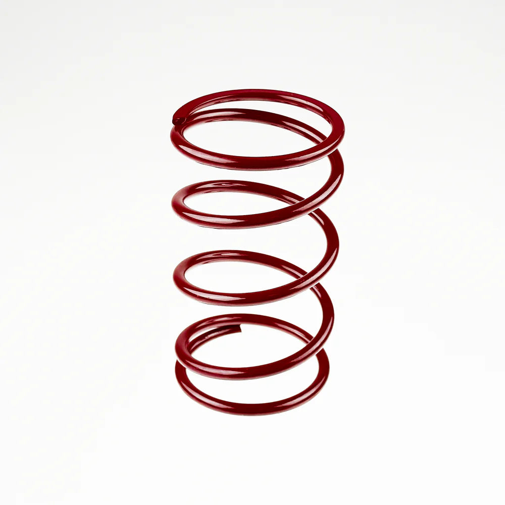 POLARIS KWI CLUTCH SPRINGS